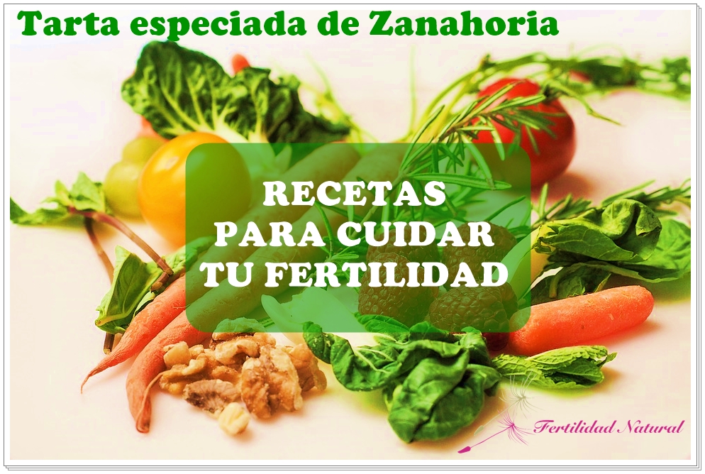 Lee más sobre el artículo Recetas Fértiles: Tarta especiada de Zanahoria